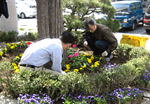 명성교회 - 조경환경부 명성교회 - 조경환경부