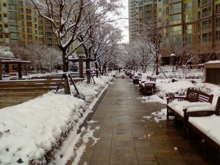 PHOTO_0021.jpg