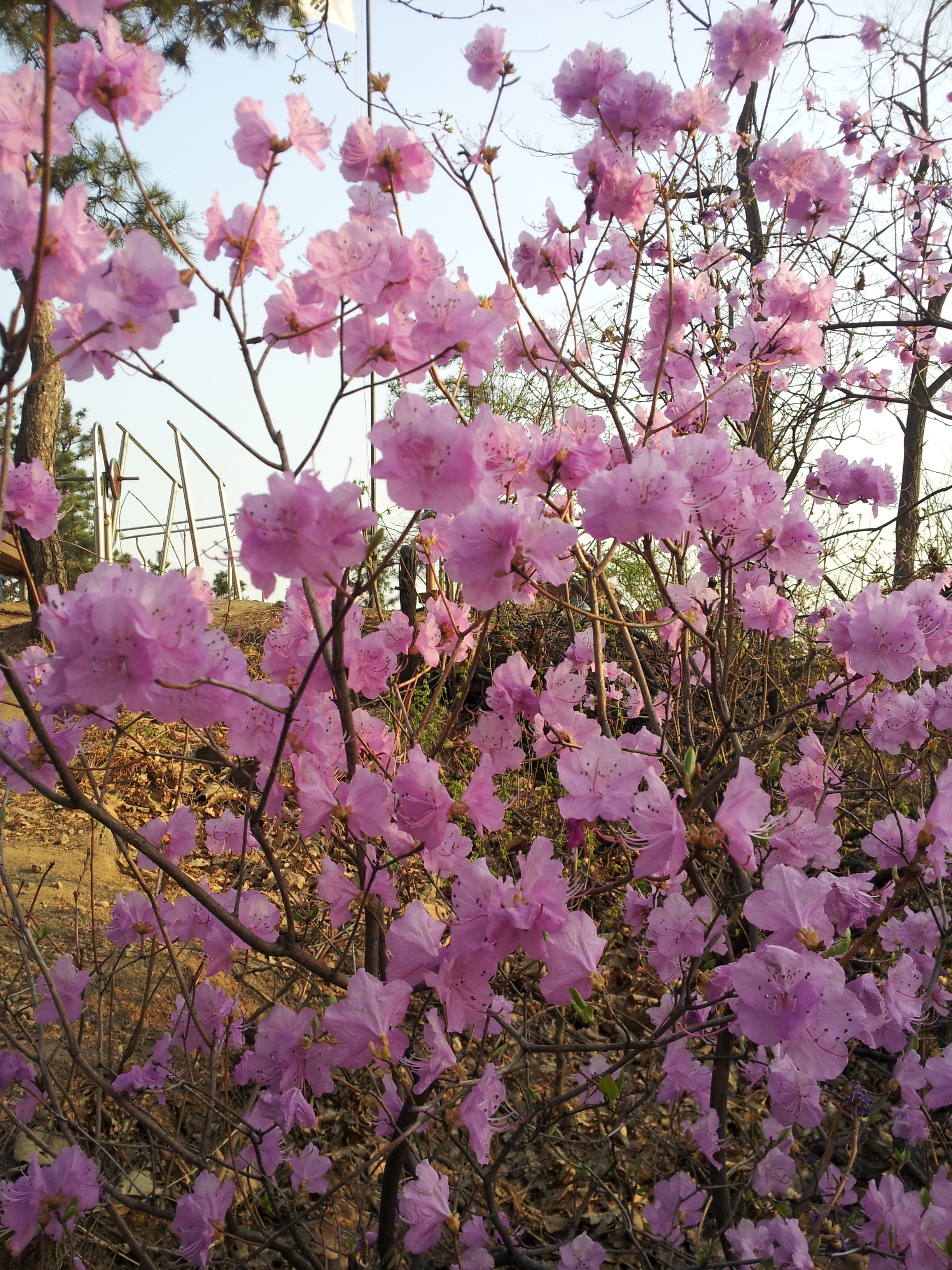 20120417_174910.jpg
