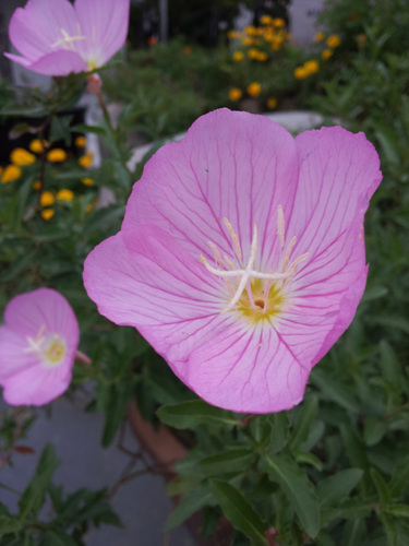 20120912_095311.jpg