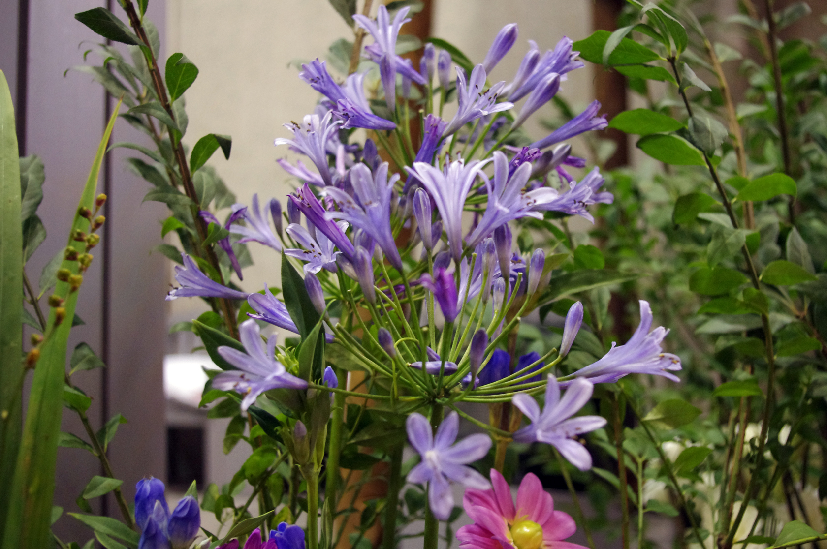 IMGP5781.JPG
