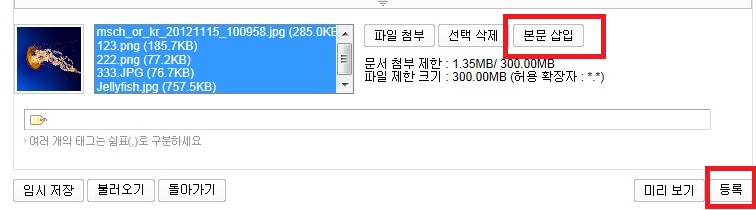 msch_or_kr_20121115_102126.jpg